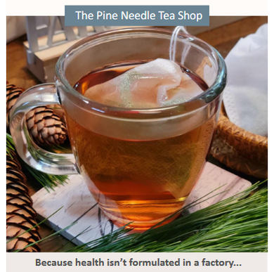 The Pine Needle Teas Shop Teas,  https://pineneedletea.org/?ref=bcetrees Brush Creek Gift and Garden Nook