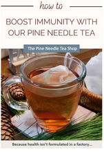 The Pine Needle Teas Shop Teas,  https://pineneedletea.org/?ref=bcetrees Brush Creek Gift and Garden Nook
