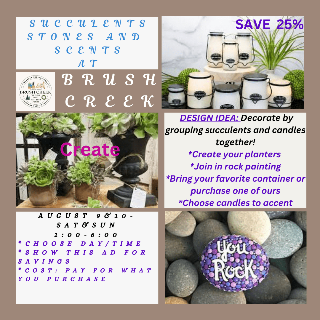 SUCCULENTS STONES AND SCENTS