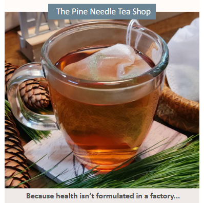 The Pine Needle Tea Shop Teas,  https://pineneedletea.org/?ref=bcetrees
