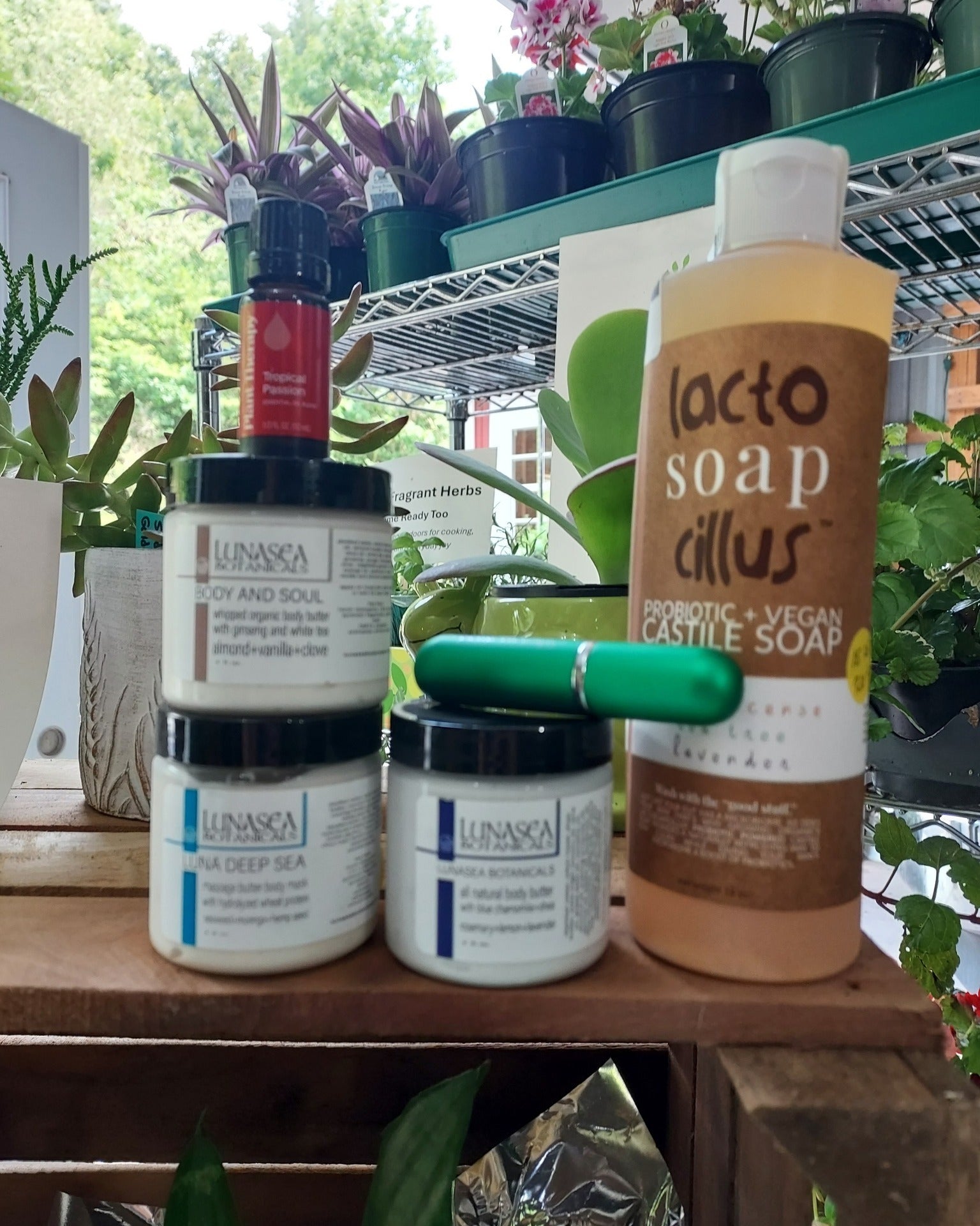 Year‑Round Wellness, Gifts & Greenery