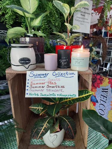 A display of assorted summer-themed candles and home fragrance items arranged in a wooden crate alongside potted plants at what appears to be a market or fair. A handwritten sign lists summer scents, and a candle is lit on the left.