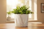 Brushed White Ceramic Planter Pot with Embossed Wheat Stalks - 4.5" Farmhouse Plant Container