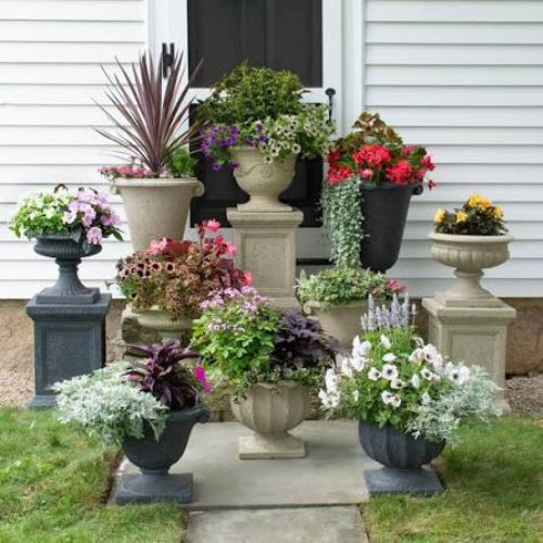 A collection of large decorative stone planters and pots arranged on a front lawn and steps beside a white house exterior, filled with colorful flowers and green foliage.