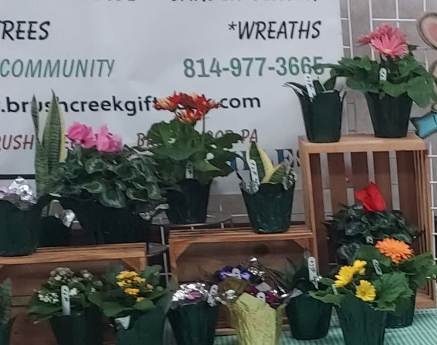 A display of various potted flowers and greenery arranged on wooden crates in front of a white brick wall with a brushcreekgiftnook.com banner.