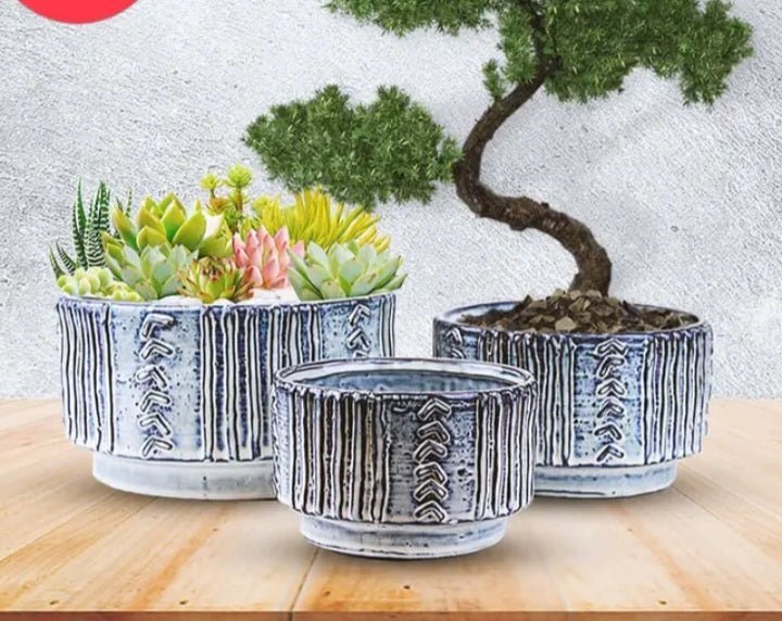 Blue Ceramic Succulent Plant Pot with Geometric Inset - 5.75" Shallow Plant Pot for Small Succulents & Cacti 
