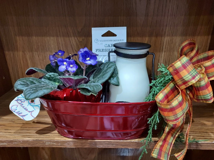 Brush Creek Bloom Bundle featuring a blooming African violet displayed in a red decorative gift tin with seasonal greenery and coordinated gift items, ready for gifting.