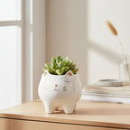 Mystery Animal Planter + Live Succulent – Cute Ready‑to‑Gift Set 