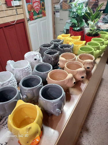 Ceramic animal planter with live succulent in a ready‑to‑gift set