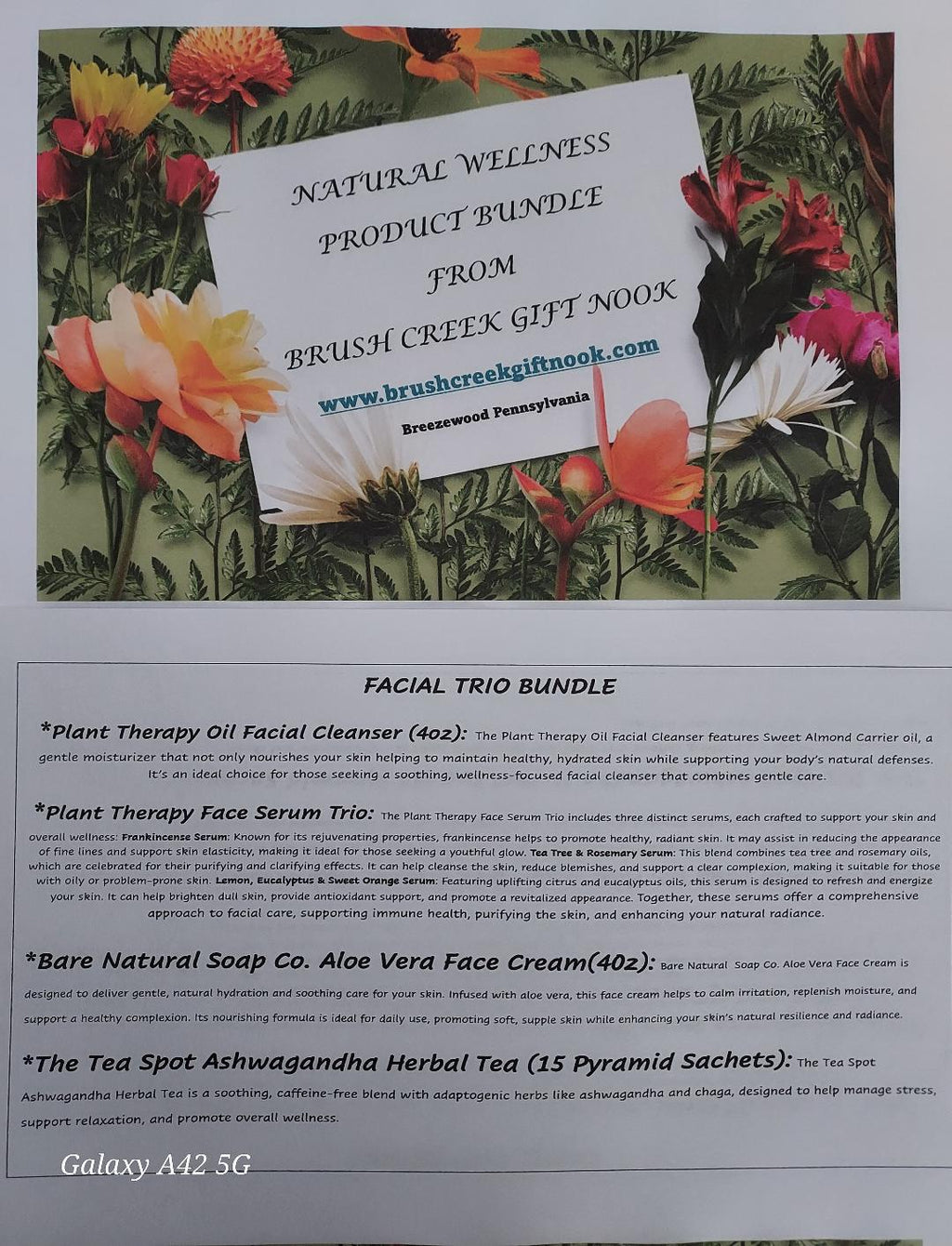 Natural Anti - Aging Skincare Bundle - Organic Facial Serum Trio, Aloe Vera Face Cream, Moisturizing Oil & Ashwagandha Chai Tea Gift Set - Brush Creek Evergreens