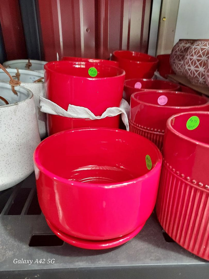 2 pc plant container with matching tray