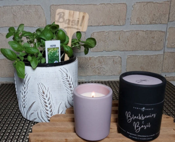 Blackberries & Basil candle from the Brush Creek Summer Collection.