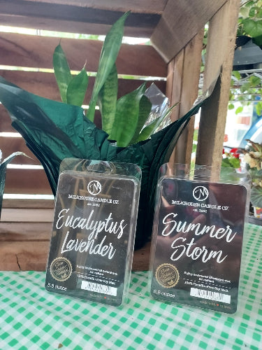 Two packaged candles from Malibu Ocean Light Co. labeled 'Summer Storm' and 'Eucalyptus Lavender,' wrapped in dark green paper and clear plastic, photographed on a green-and-white checkered tablecloth with wooden slats in the background.