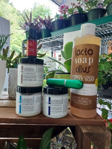 A stack of Lunasea handmade body butter products, including a large bottle of lacto soap dilus and several white jars with black lids, displayed on a wooden shelf among green plants.
