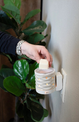 Person using a wall-mounted wax warmer with a plant in the background