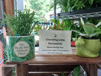 A wooden shelf in a nursery or plant store displays a sign reading 'Charming Little Succulents Home Ready Too!' between two potted plants. On the left is a green fern in a cylindrical pot with the phrase 'Life Would Succeed Without Plants' on the front.