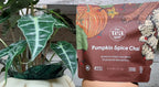 A package of The Tea Spot Pumpkin Spice Chai tea sachets held in front of a potted plant with large green leaves.