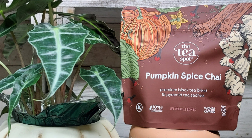 A package of The Tea Spot Pumpkin Spice Chai tea sachets held in front of a potted plant with large green leaves.