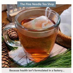 The Pine Needle Teas Shop Teas,  https://pineneedletea.org/?ref=bcetrees Brush Creek Gift and Garden Nook