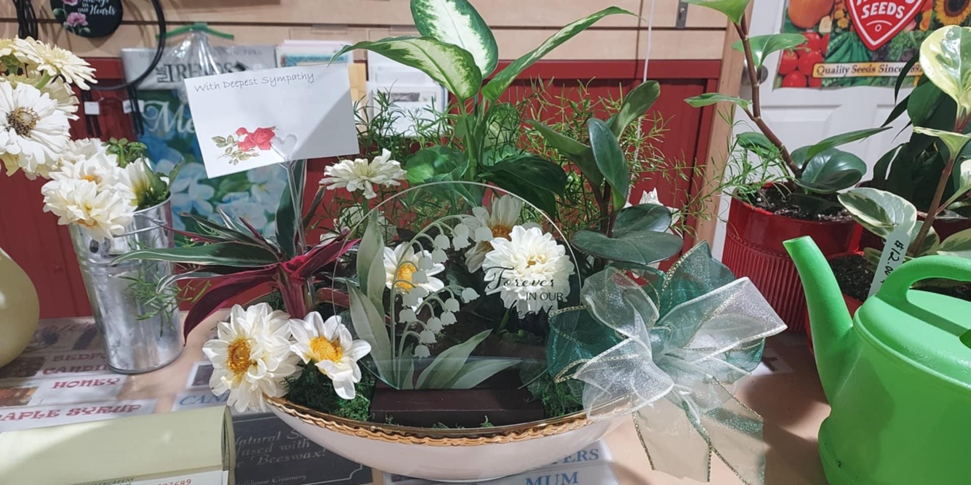 Sympathy Dish Gardens and Plant Arrangements - Brush Creek Gift and Garden Nook