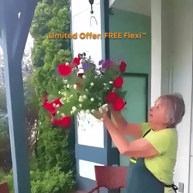 Flexi™:  Retractable Plant, Chime, Birdhouse, Lantern Hanger for porch and patio