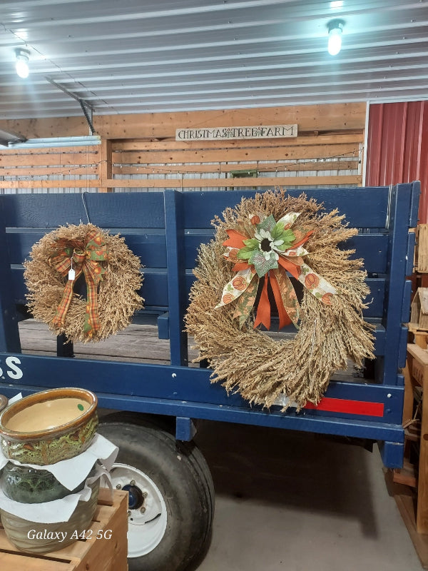 Two decorative corn plume wreaths  hung on the back of a blue wagon in a rustic indoor setting. The larger wreath on the right has a multicolor autumn ribbon with orange, green, and white, while the smaller wreath on the left has a brown ribbon.