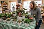 Sympathy Dish Gardens and Plant Arrangements - Brush Creek Gift and Garden Nook