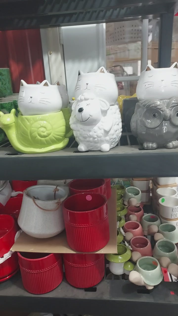 Mystery Animal Ceramic Planter + Live Succulent — Surprise Ready-to-Gift Set