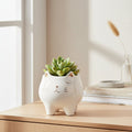Cat succulent pot - Brush Creek Evergreens