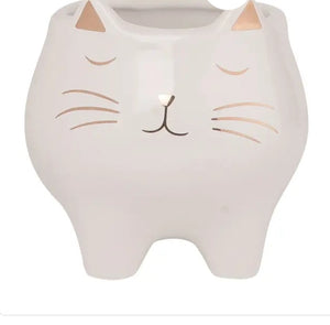 Cat succulent pot