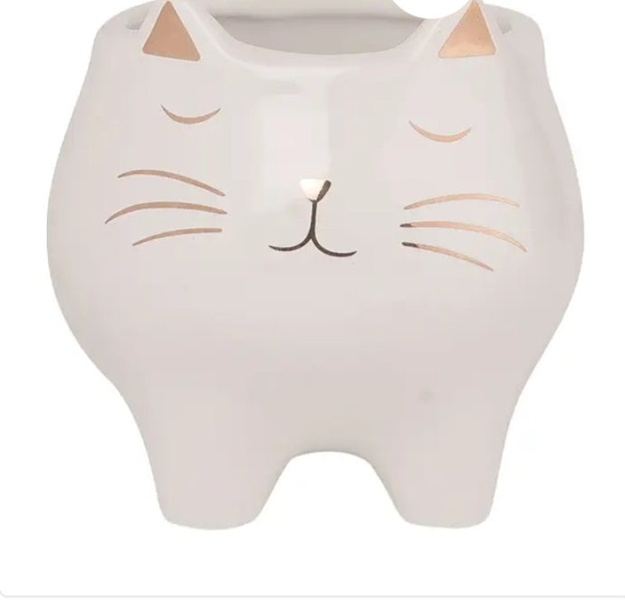 Cat succulent pot