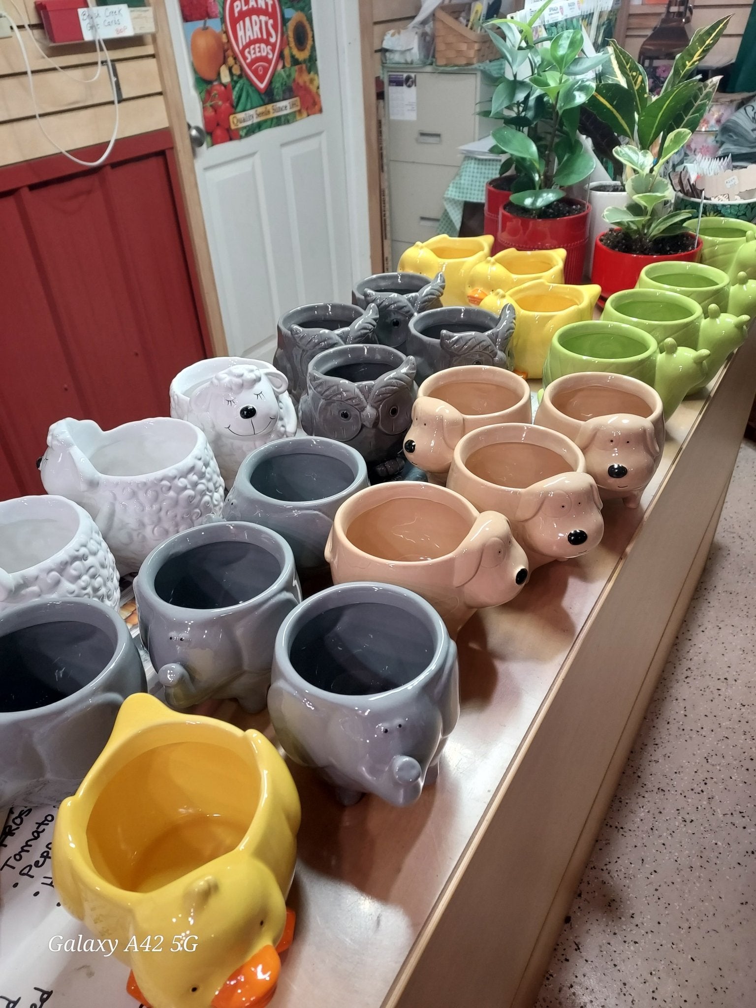 Cute Animal Succulent Planters Set - 24pc Dolomite Ceramic Mini Pots Collection (Lamb, Elephant, Owl, Dog, Duck, Snail) - Brush Creek Evergreens