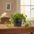 Cobalt Blue glazed Ceramic Plant Container