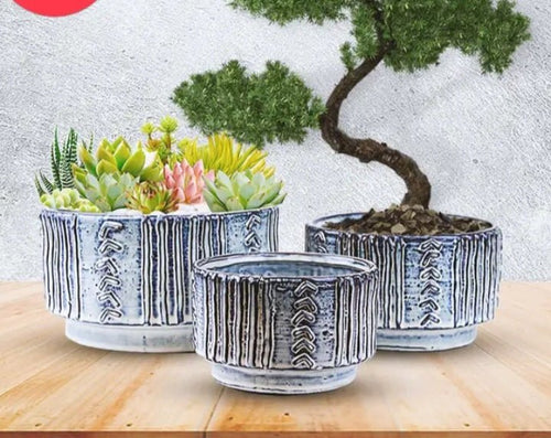 Vintage Retro Blue Ceramic Succulent Planter Pot - 5.75" Shallow Plant Container for Small Succulents & Cacti - Brush Creek Evergreens