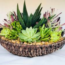 Mother’s Day Mystery Animal Planter + Live Succulent – Cute Ready‑to‑Gift Set - Brush Creek Gift and Garden Nook