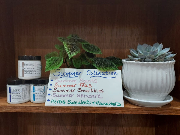 Lunasea body butters, houseplant, potted succulent and sign