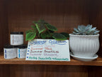 Lunasea body butters, houseplant, potted succulent and sign