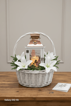 Sympathy Dish Gardens and Plant Arrangements - Brush Creek Gift and Garden Nook