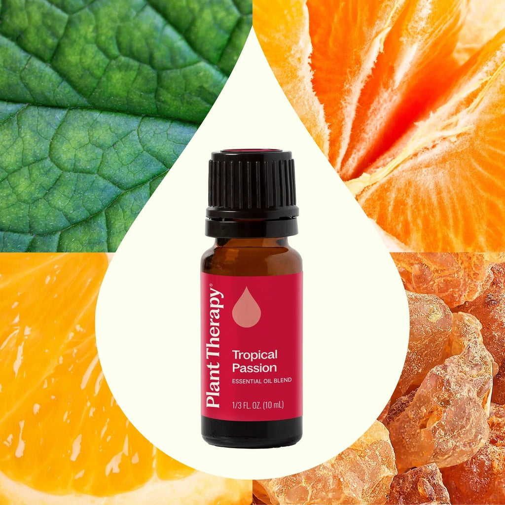 Tropical Escape Bundle with Essential Oil Blend, aromatherapy inhaler and body butter— Brush Creek Evergreens — Gift Nook & Greenhouse