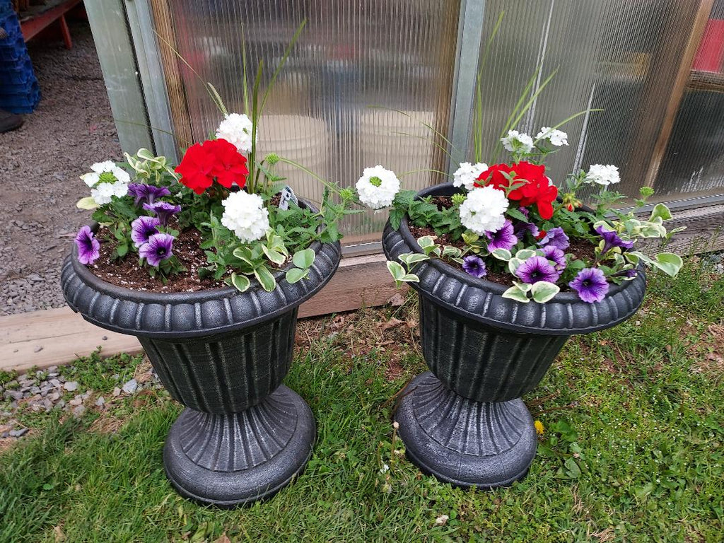 Sympathy Dish Gardens and Plant Arrangements - Brush Creek Gift and Garden Nook