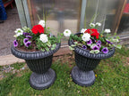 Sympathy Dish Gardens and Plant Arrangements - Brush Creek Gift and Garden Nook
